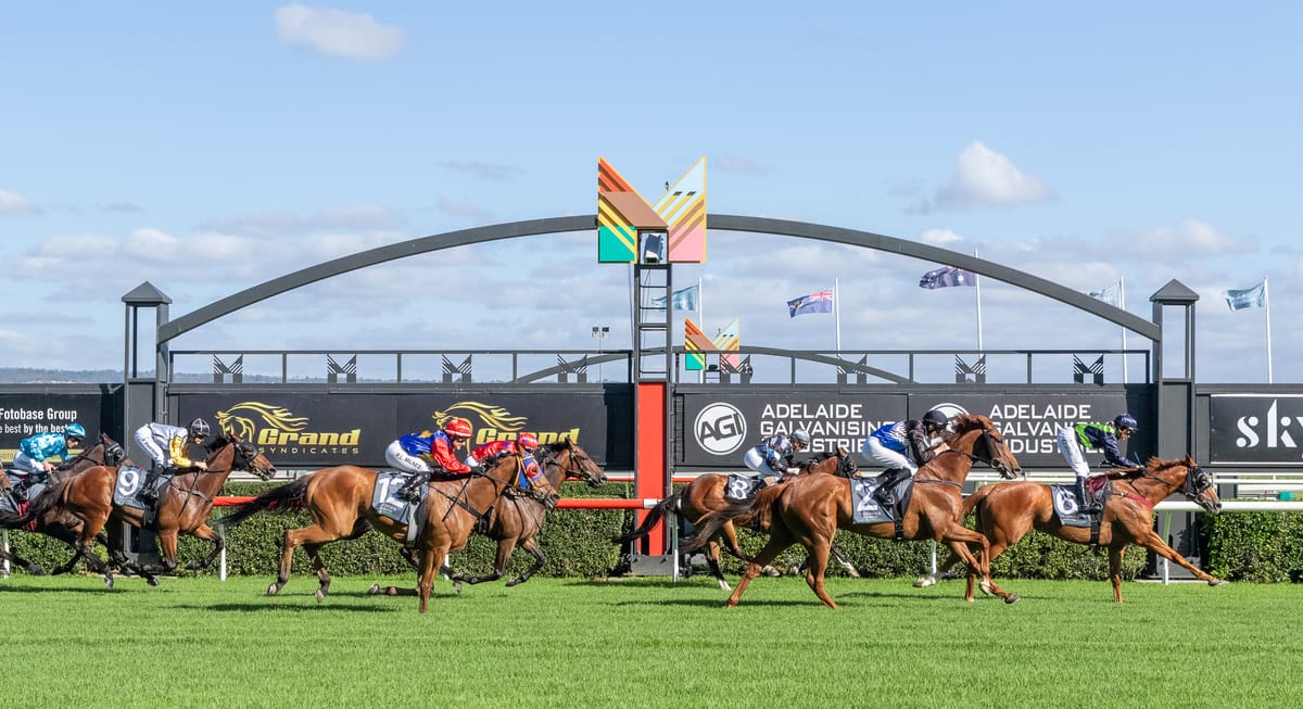 Thoroughbreds racing on an Australian turf track